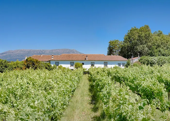 Paco De - Turismo De Habitacao Frühstückspension 3*